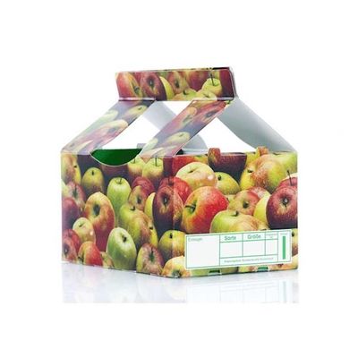 Φρούτα &amp; φυτική συσκευασία με τα χαρτοκιβώτια που τυπώνουν τη μηχανή ποιοτικού ελέγχου επιθεώρησης