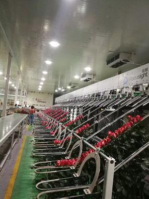 Φρέσκια μηχανή επιθεώρησης Focusight λουλουδιών ακριβής
